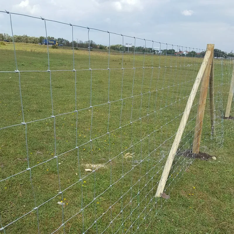Hegesztett háló kerítés betonoszlopokkal